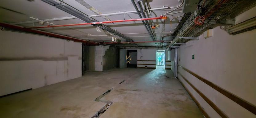 Pronájem obchodního prostoru, Praha - Ruzyně, Aviatická, 770 m2