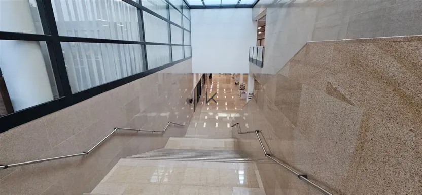 Pronájem obchodního prostoru, Praha - Ruzyně, Aviatická, 619 m2