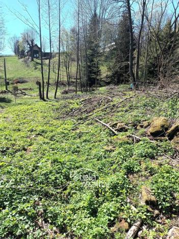 Prodej pozemku pro bydlení, Dolní Moravice - Nová Ves, 626 m2