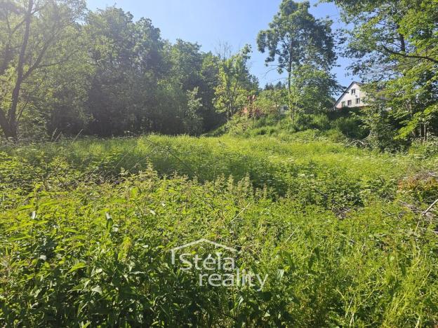 Prodej pozemku pro bydlení, Dolní Moravice - Nová Ves, 626 m2