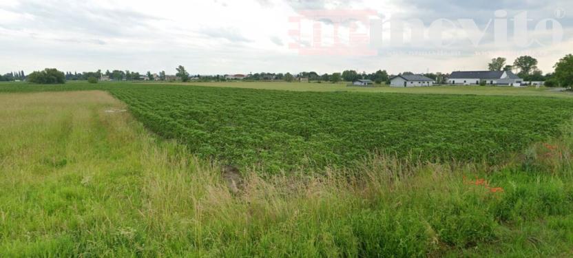 Prodej pozemku pro bydlení, Staré Hradiště, Psinek, 2500 m2