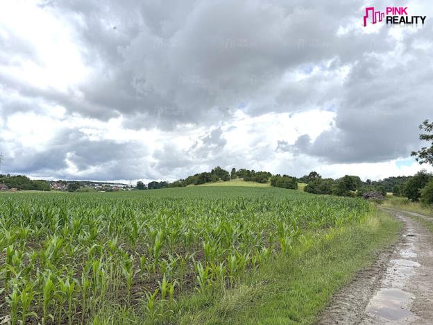 Prodej louky, Rychnov nad Kněžnou, 16663 m2