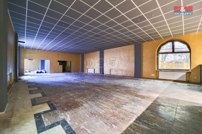 Pronájem obchodního prostoru, Plzeň - Východní Předměstí, Francouzská třída, 470 m2