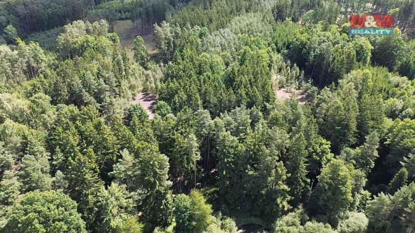 Prodej lesa, Opařany - Olší, 5323 m2