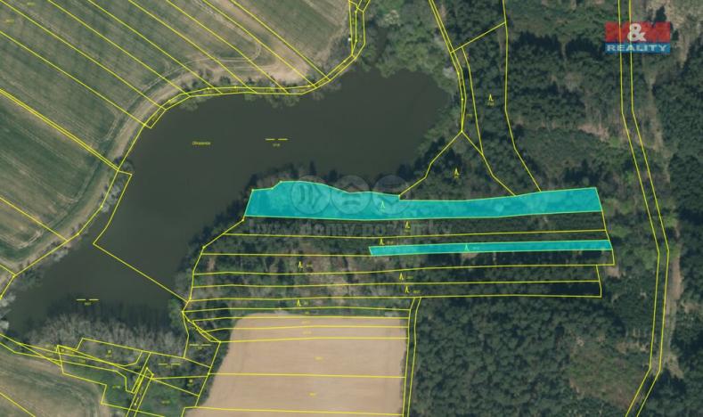 Prodej lesa, Opařany - Olší, 5323 m2