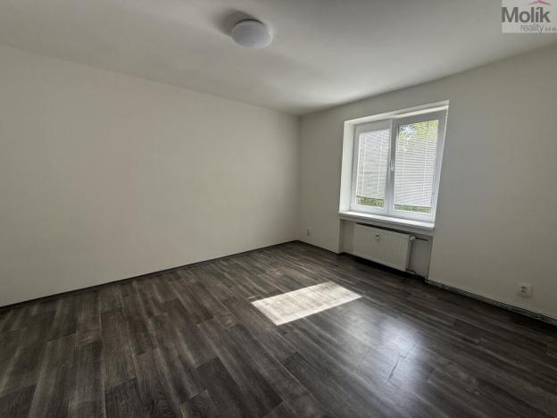 Pronájem bytu 1+1, Most, Lesní, 30 m2
