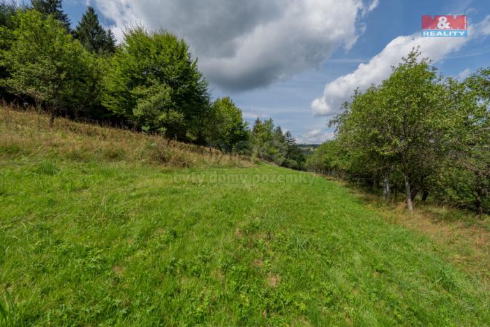 Prodej louky, Halenkov, 1784 m2