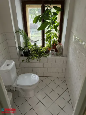 Prodej rodinného domu, Malečov - Horní Zálezly, 280 m2