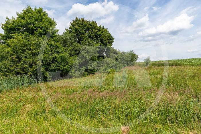 Prodej zahrady, Divišov, Vlašimská, 3569 m2