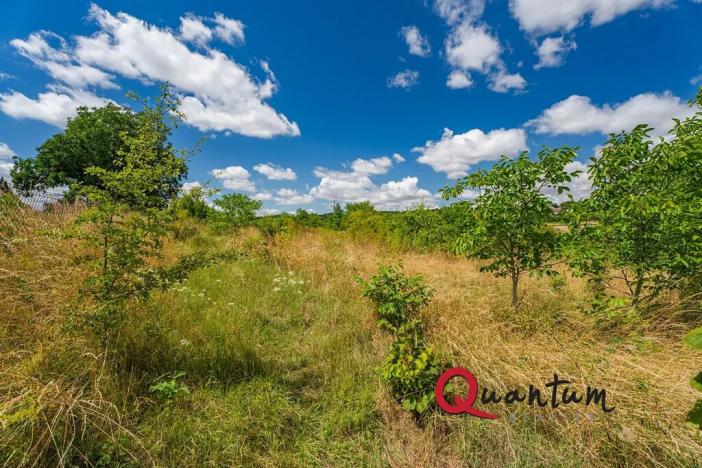 Prodej pozemku pro bydlení, Brandýsek, Pod lékárnou, 2715 m2