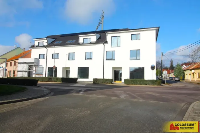 Prodej bytu 3+kk, Hrušovany nad Jevišovkou, 95 m2