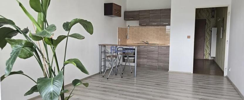 Prodej bytu 1+kk, Hradec Králové, Jana Masaryka, 35 m2