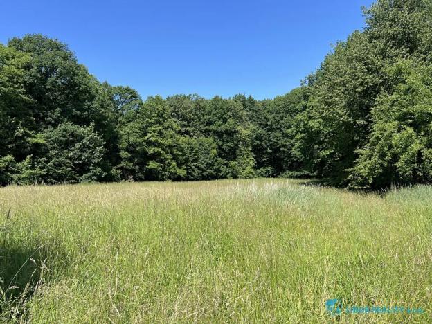 Prodej komerční nemovitosti, Horní Bludovice, 440 m2