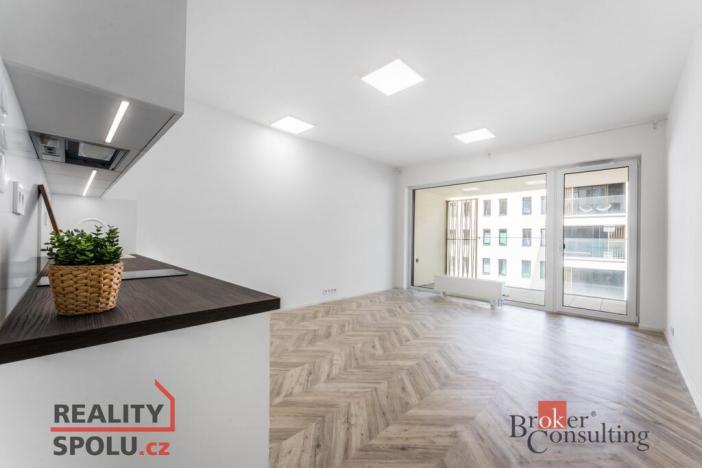 Pronájem bytu 1+kk, Brno - Zábrdovice, Cejl, 48 m2