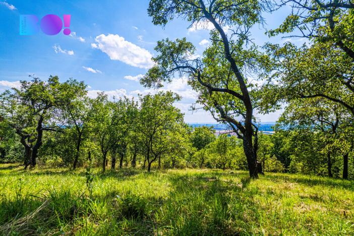 Prodej zahrady, Samotišky, 2632 m2