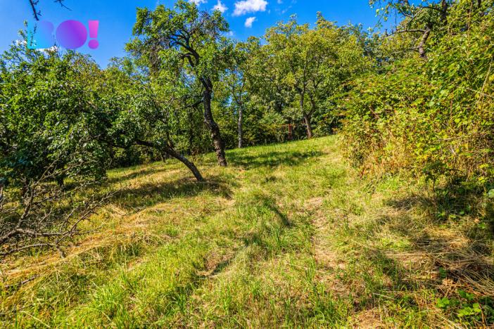 Prodej zahrady, Samotišky, 2632 m2