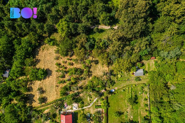 Prodej zahrady, Samotišky, 2632 m2