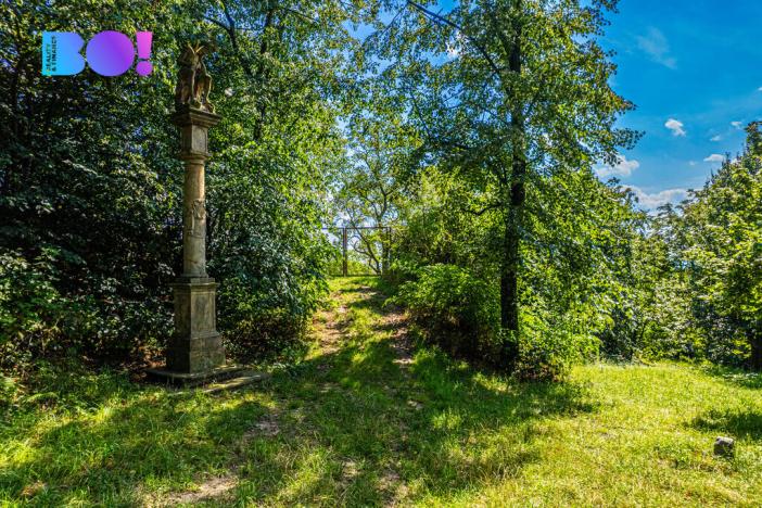 Prodej zahrady, Samotišky, 2632 m2