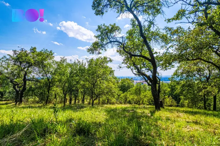 Prodej zahrady, Samotišky, 2632 m2