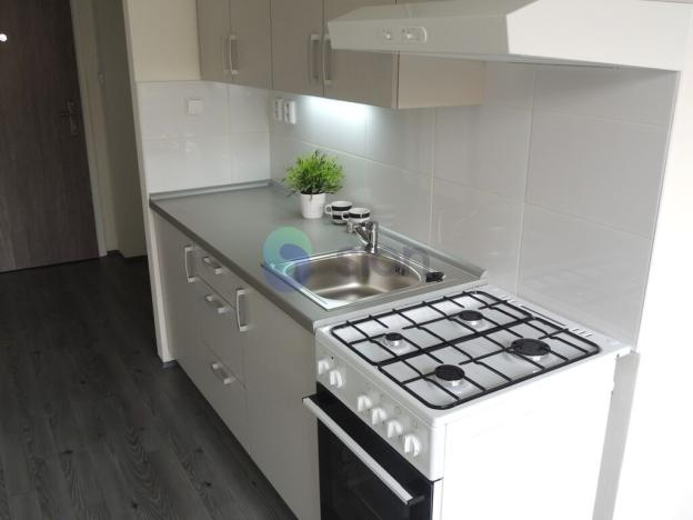 Pronájem bytu 1+1, Ostrava - Výškovice, Šeříková, 40 m2