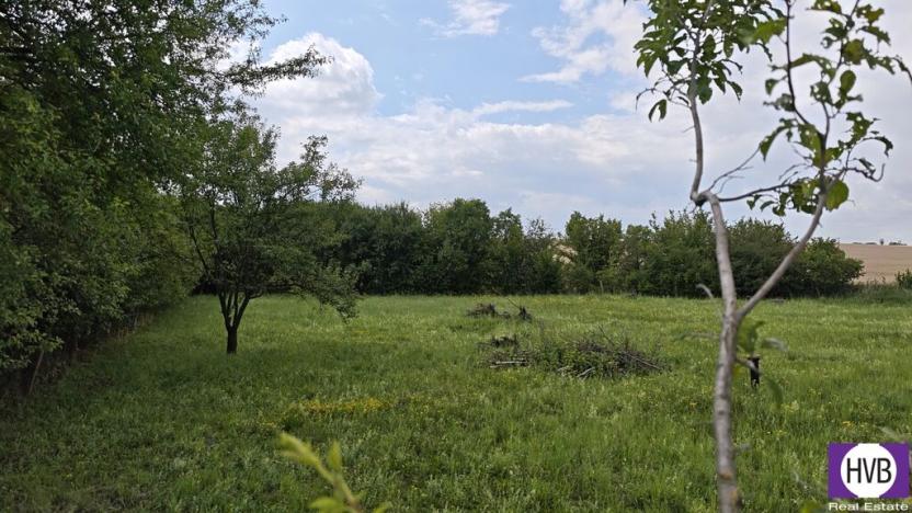 Prodej pozemku pro bydlení, Dymokury, 1000 m2