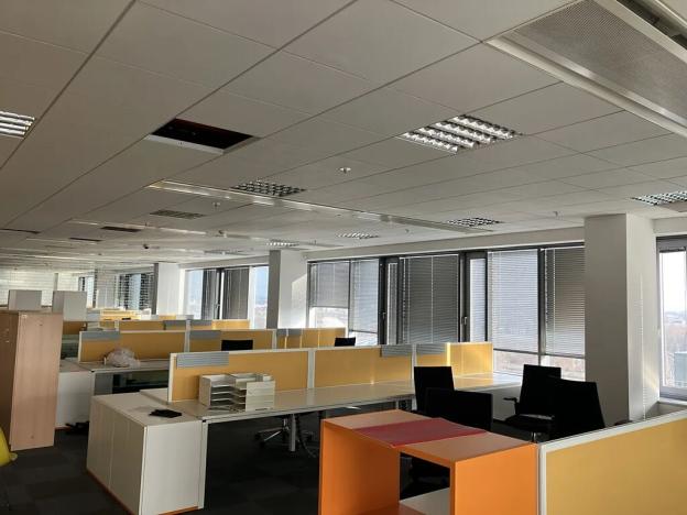 Pronájem kanceláře, Brno, Holandská, 250 m2