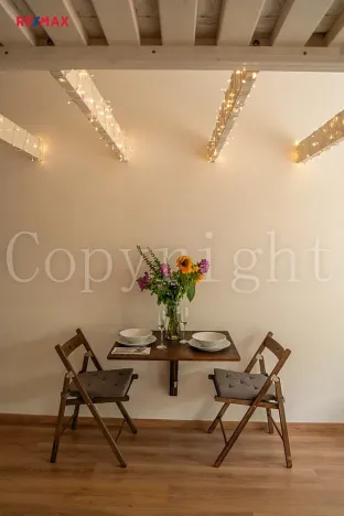 Prodej bytu 1+kk, Líšnice, Spálený Mlýn, 25 m2