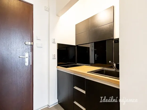 Pronájem bytu 1+kk, Praha - Staré Město, Dlouhá, 30 m2