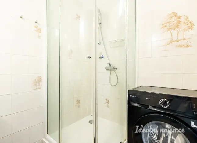 Pronájem bytu 1+kk, Praha - Staré Město, Dlouhá, 30 m2