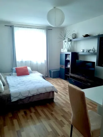 Pronájem bytu 1+1, Karlovy Vary, Dubová, 30 m2