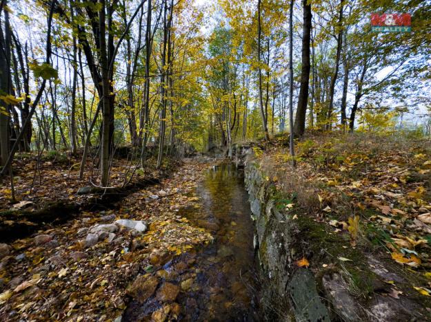 Prodej rybníku, Nové Město pod Smrkem, 39493 m2