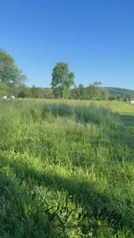 Prodej zahrady, Záhorovice, 1297 m2
