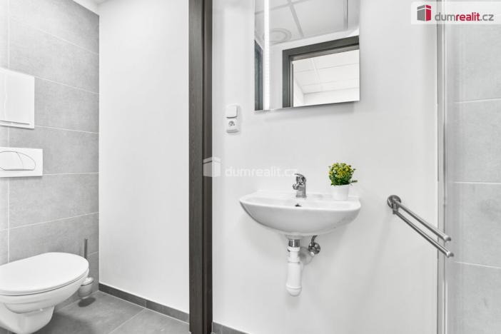 Prodej obchodního prostoru, Chodov, Revoluční, 35 m2