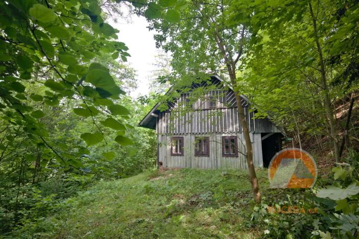 Prodej zemědělské usedlosti, Stružinec, 113 m2