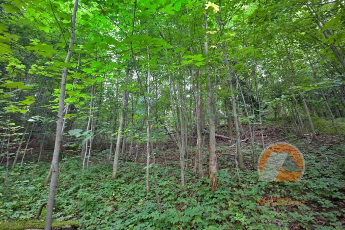 Prodej zemědělské usedlosti, Stružinec, 113 m2