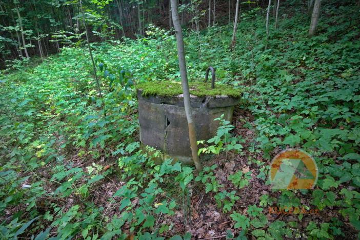 Prodej zemědělské usedlosti, Stružinec, 113 m2