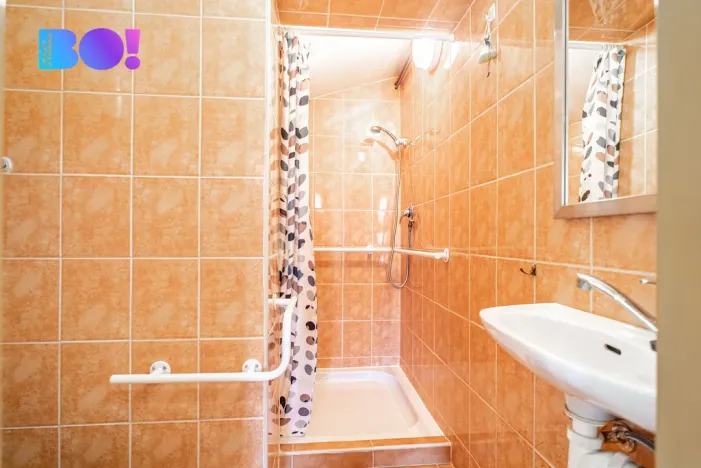 Prodej vícegeneračního domu, Červenka, Třebízského, 442 m2