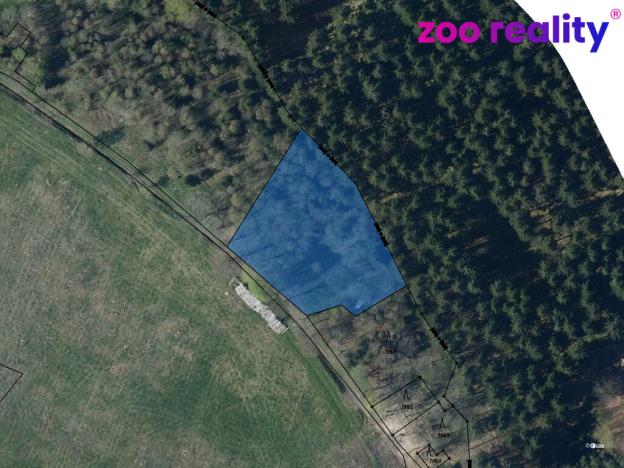 Prodej louky, Vejprty, 3188 m2