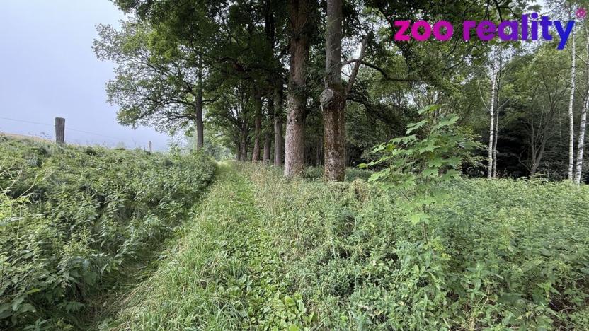 Prodej louky, Vejprty, 3188 m2