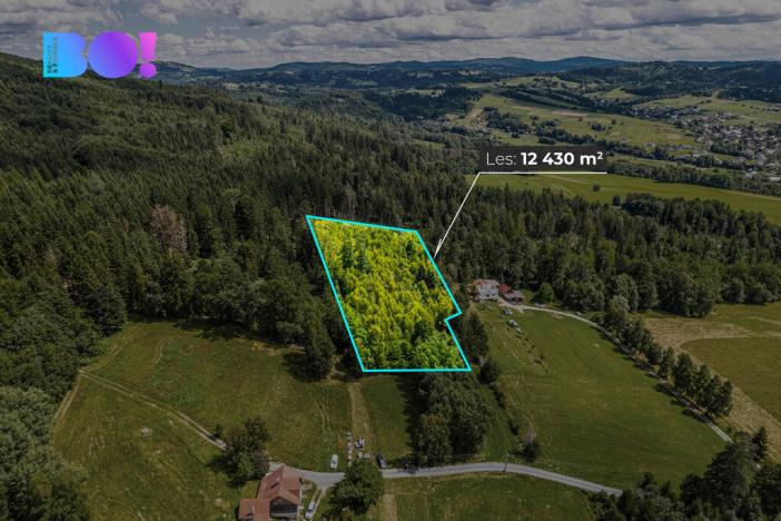 Prodej lesa, Písek, 12430 m2