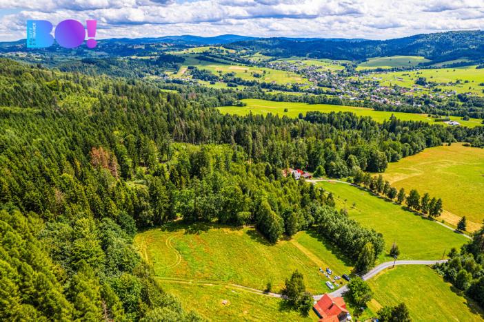 Prodej lesa, Písek, 12430 m2