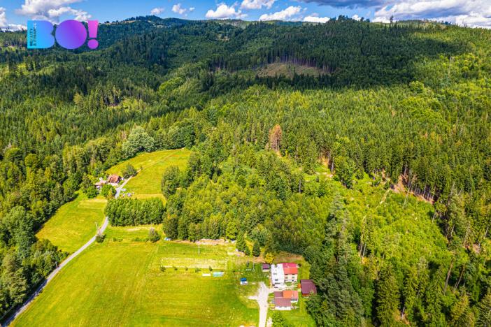 Prodej lesa, Písek, 12430 m2