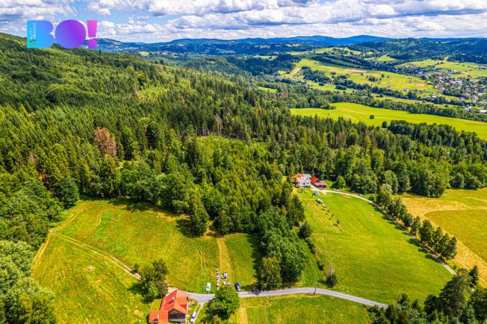 Prodej lesa, Písek, 12430 m2