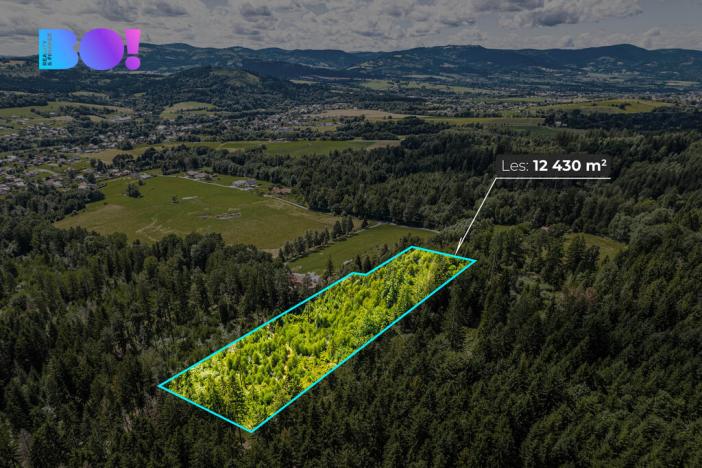 Prodej lesa, Písek, 12430 m2