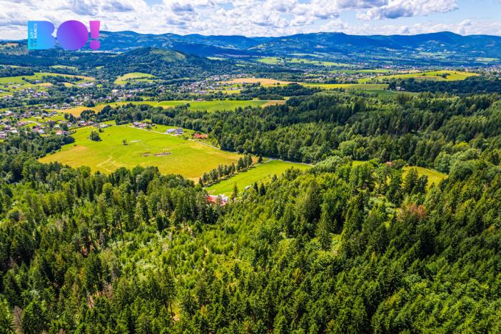 Prodej lesa, Písek, 12430 m2