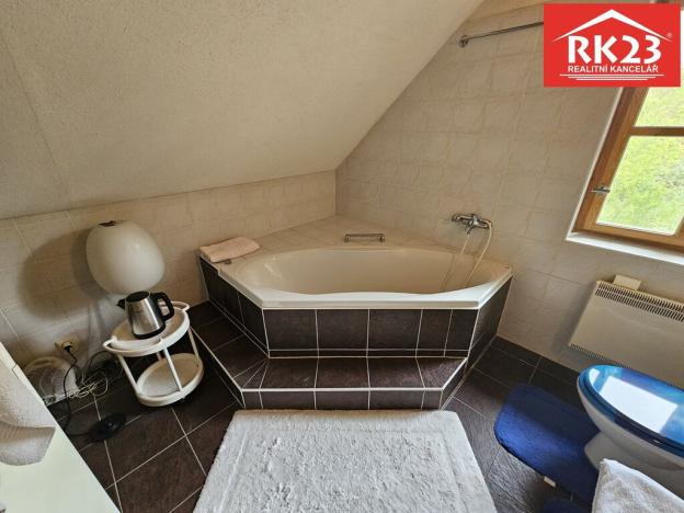 Prodej rodinného domu, Bor - Ostrov, 249 m2