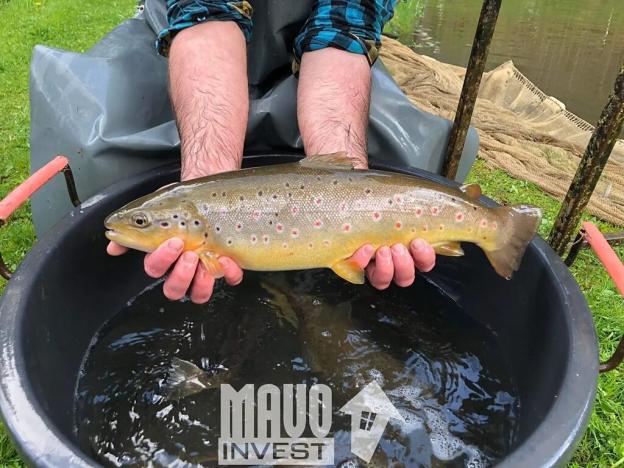 Prodej zemědělského objektu, Bohdalovice, 559 m2