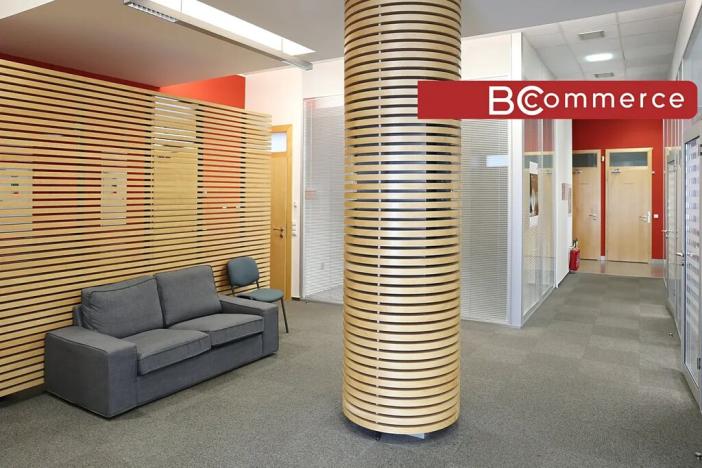 Pronájem kanceláře, Brno, 247 m2