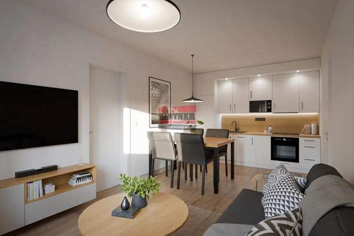 Pronájem bytu 2+kk, Bechyně, U Nádraží, 43 m2