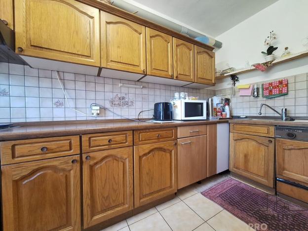 Prodej rodinného domu, Dolní Moravice, 914 m2